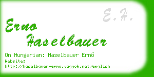 erno haselbauer business card