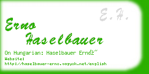 erno haselbauer business card